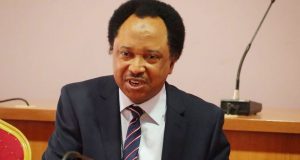 Kalubale: Gwamnatin APC Ta Gaza Wajen Magance Kashe-Kashe A Nijeriya – Shehu Sani Sanata Shehu Sani, Dan Majalisar Dattawa
