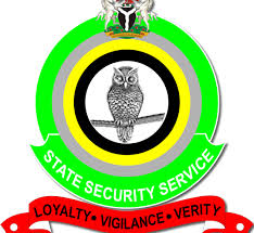 Hukumar Tsaro Ta Farin Kaya, DSS