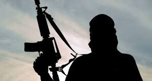 Ta’addanci: Yan Bindiga Sun Kashe Mutum Uku A Jihar Taraba