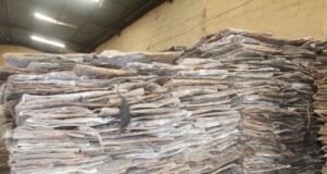 Fasa Kwauri: Hukumar NAFDAC Ta Kama Ganda Ta Miliyan 23 A Legas