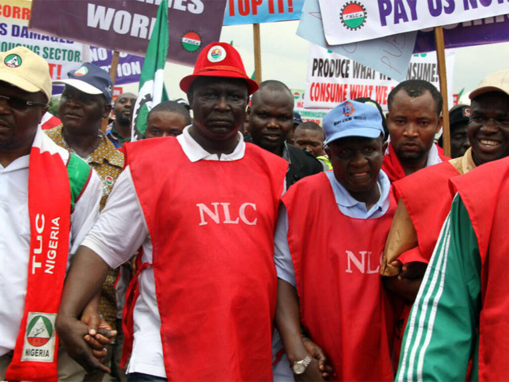 nlc 1 0