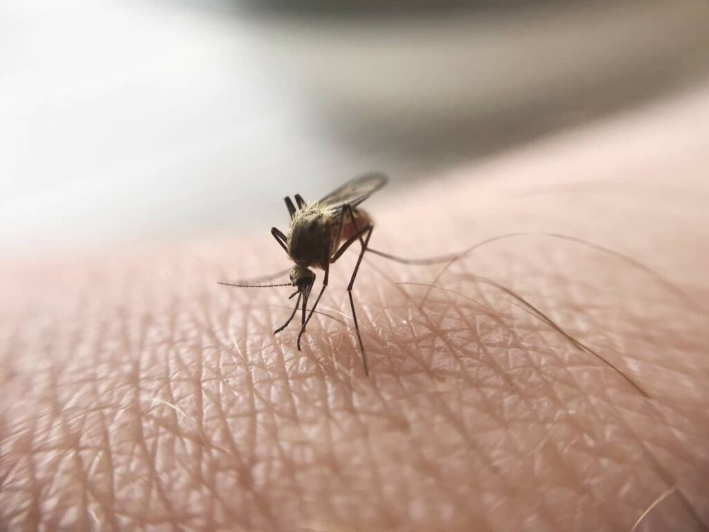ways to prevent malaria 0