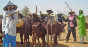 Garkuwa Da Mutane: Iyalan Munnir Atiku Na Neman Taimakon Hukumomin Tsaro miyetti allah 1 660x367402x 1280x720 1